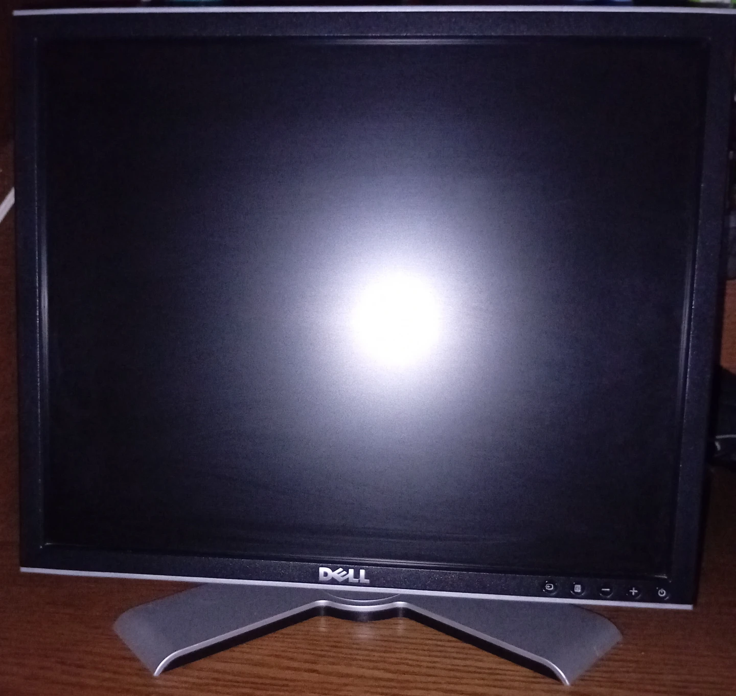Dell 22" Monitor