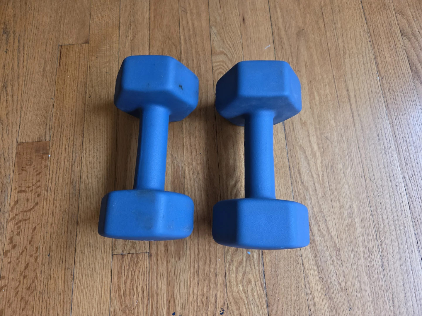 20 lb Dumbbells Set (2)