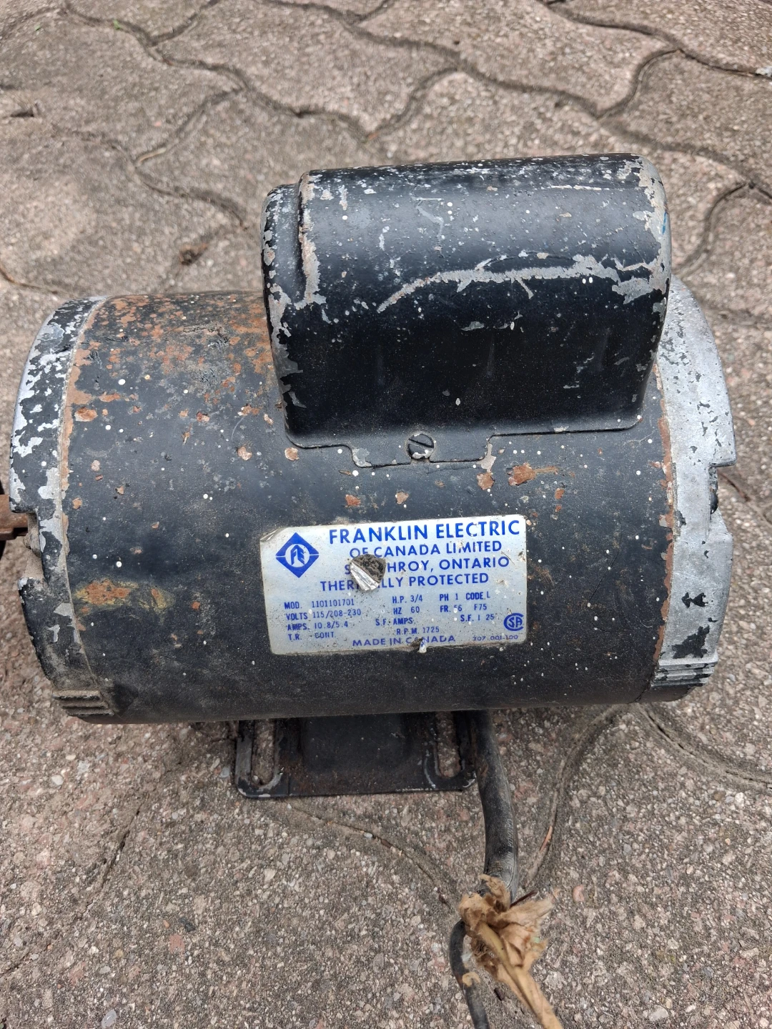 Franklin Electric Motor 3/4 HP