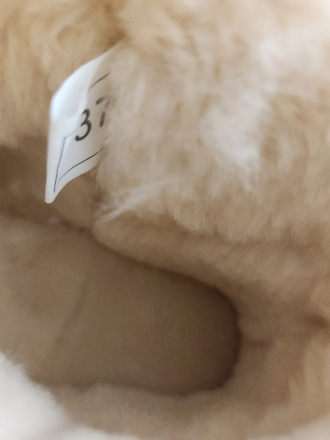 UGG Mini Boots - Size 37 - photo 3
