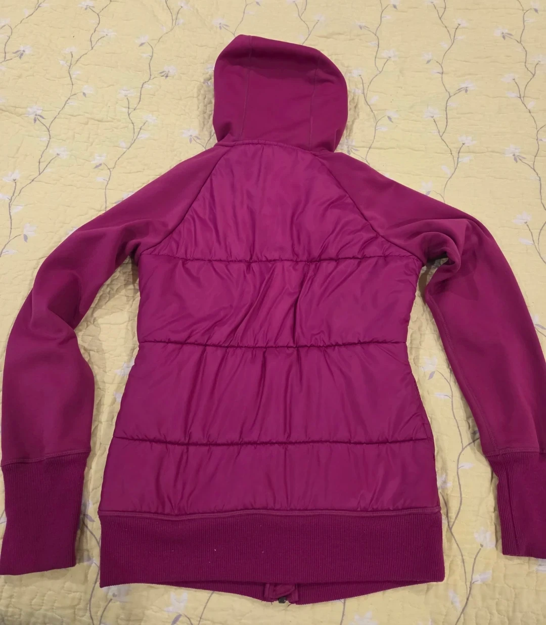 Nike Therma-FIT Hooded Jacket XS - photo 4