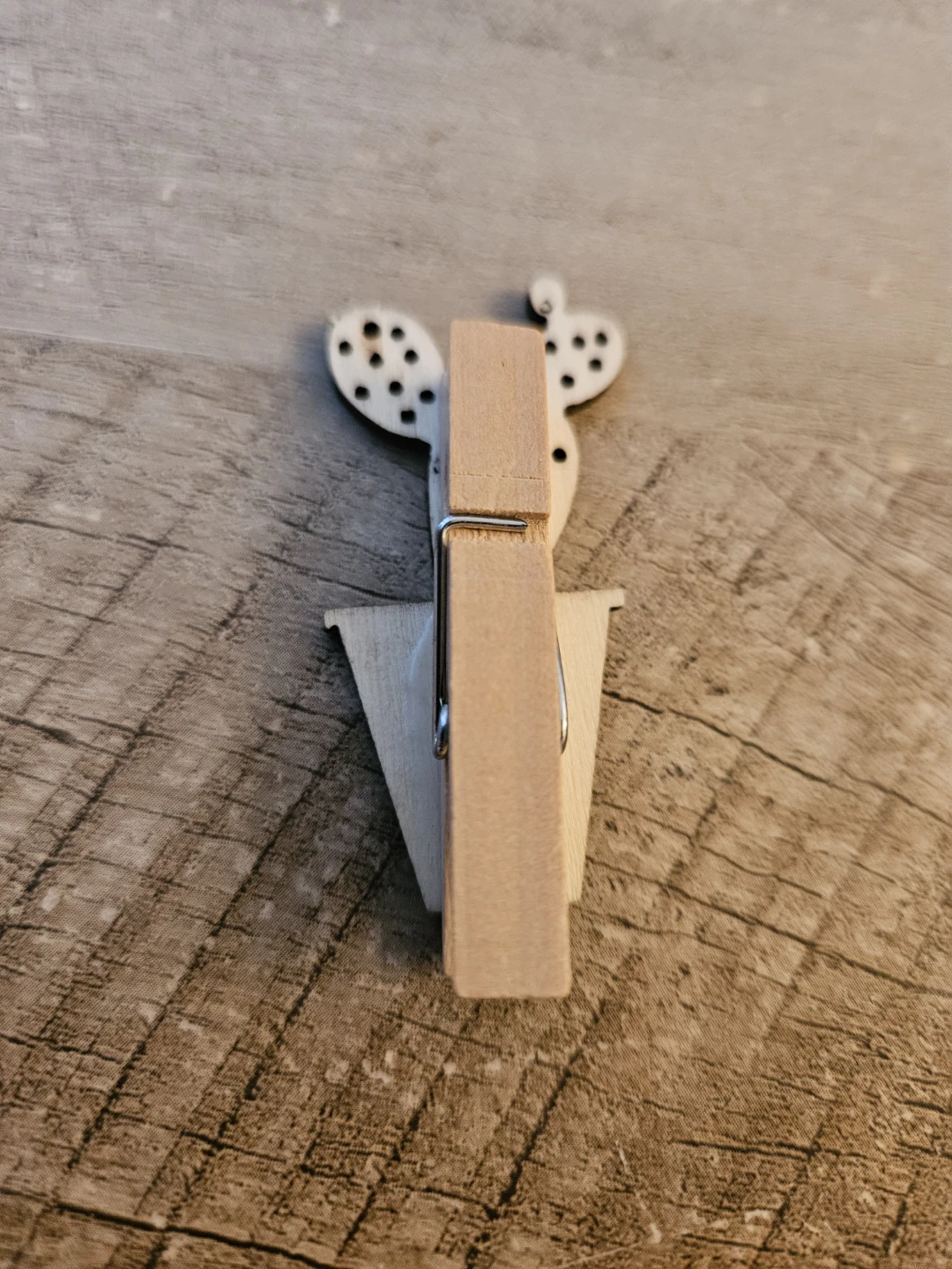 Cactus Clips - photo 2