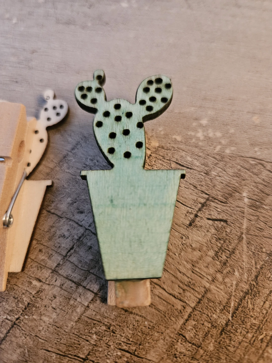 Cactus Clips - photo 3