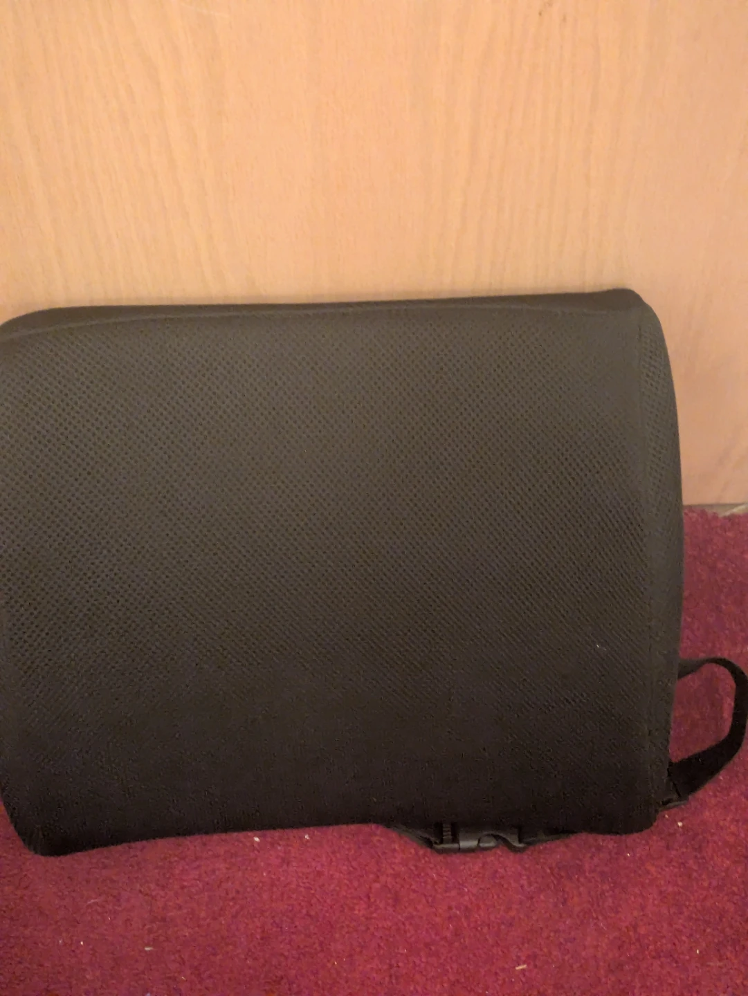 FORTEM Black Lumbar Support Cushion