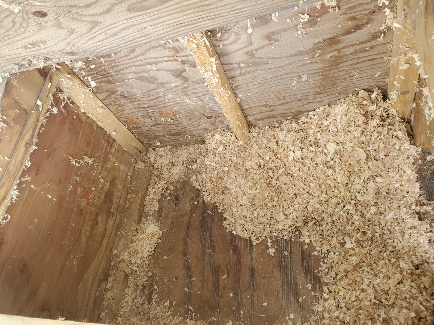 Rabbit hutch - photo 3