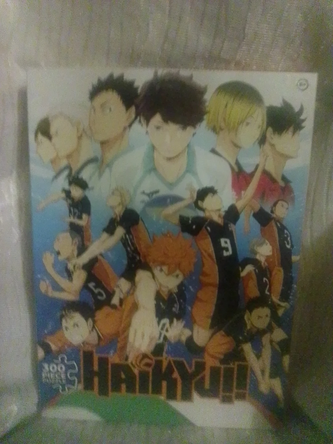 Haikyuu!! 300 Piece Puzzle.