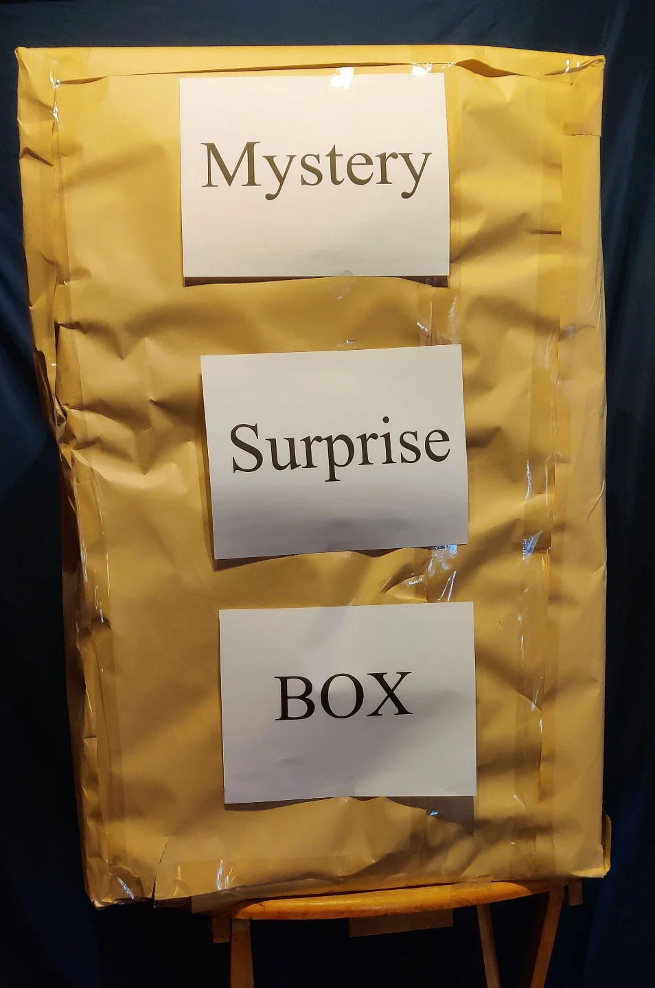 Mystery Surprise Box - Over 20 Items