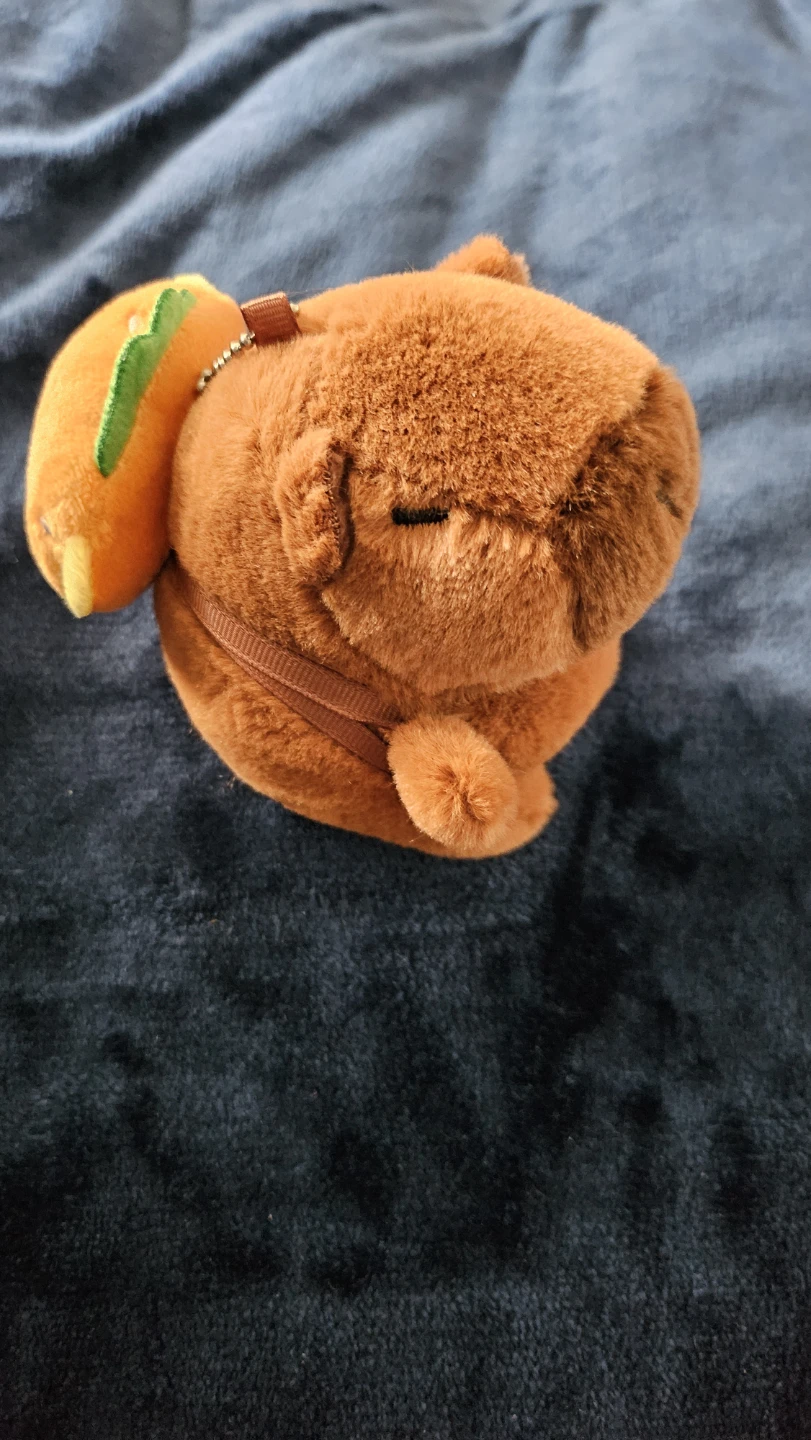 Plush Capybara Keychain with Accessory⚽