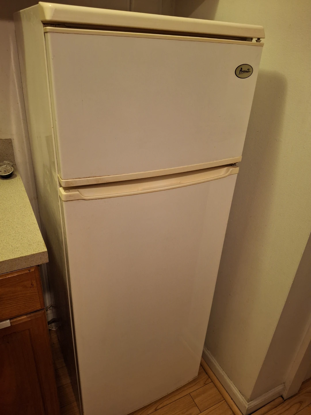 Avanti Top Freezer Refrigerator