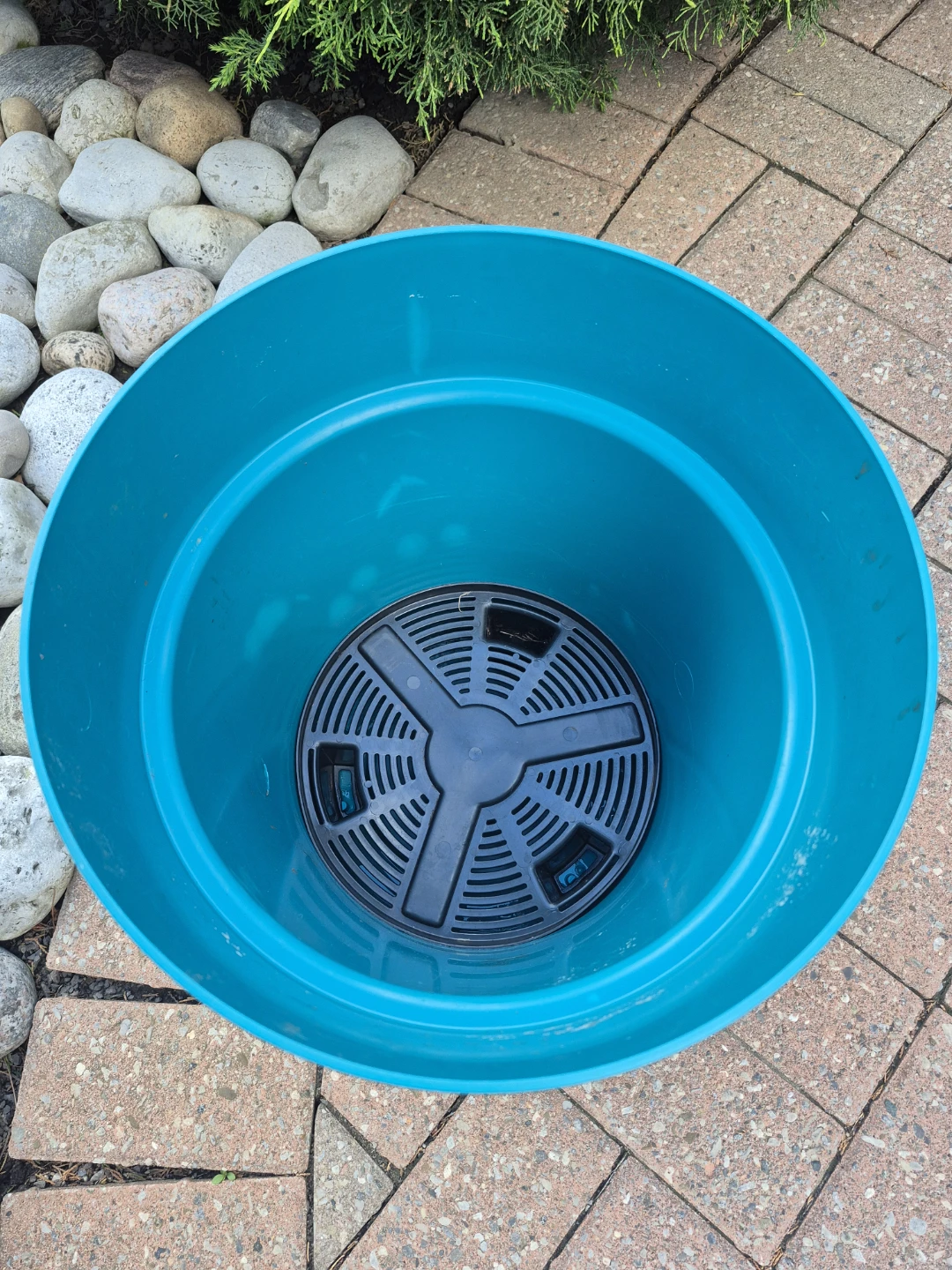 Teal Plastic Plant Pot - photo 2