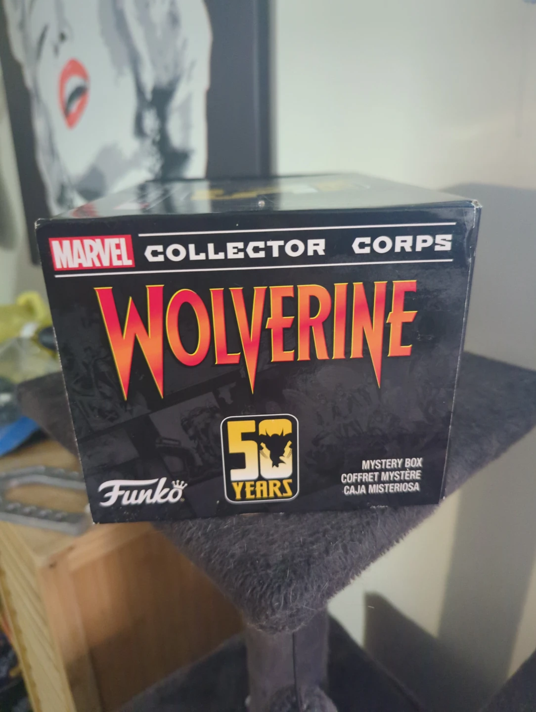 Marvel Collector Corps Wolverine 50 Years Mystery Box - photo 2