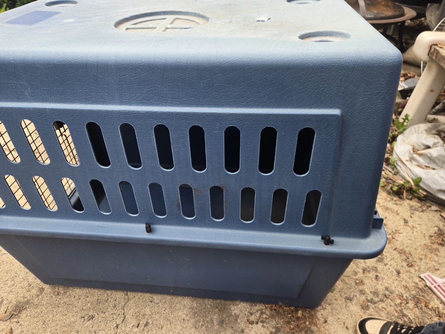 Blue Pet Carrier Crate