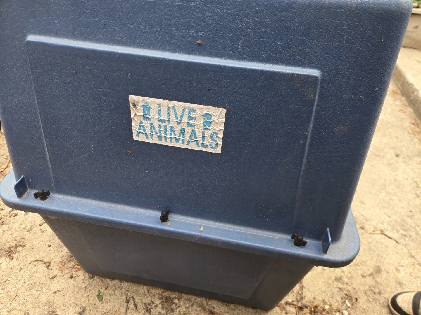 Blue Pet Carrier Crate - photo 2