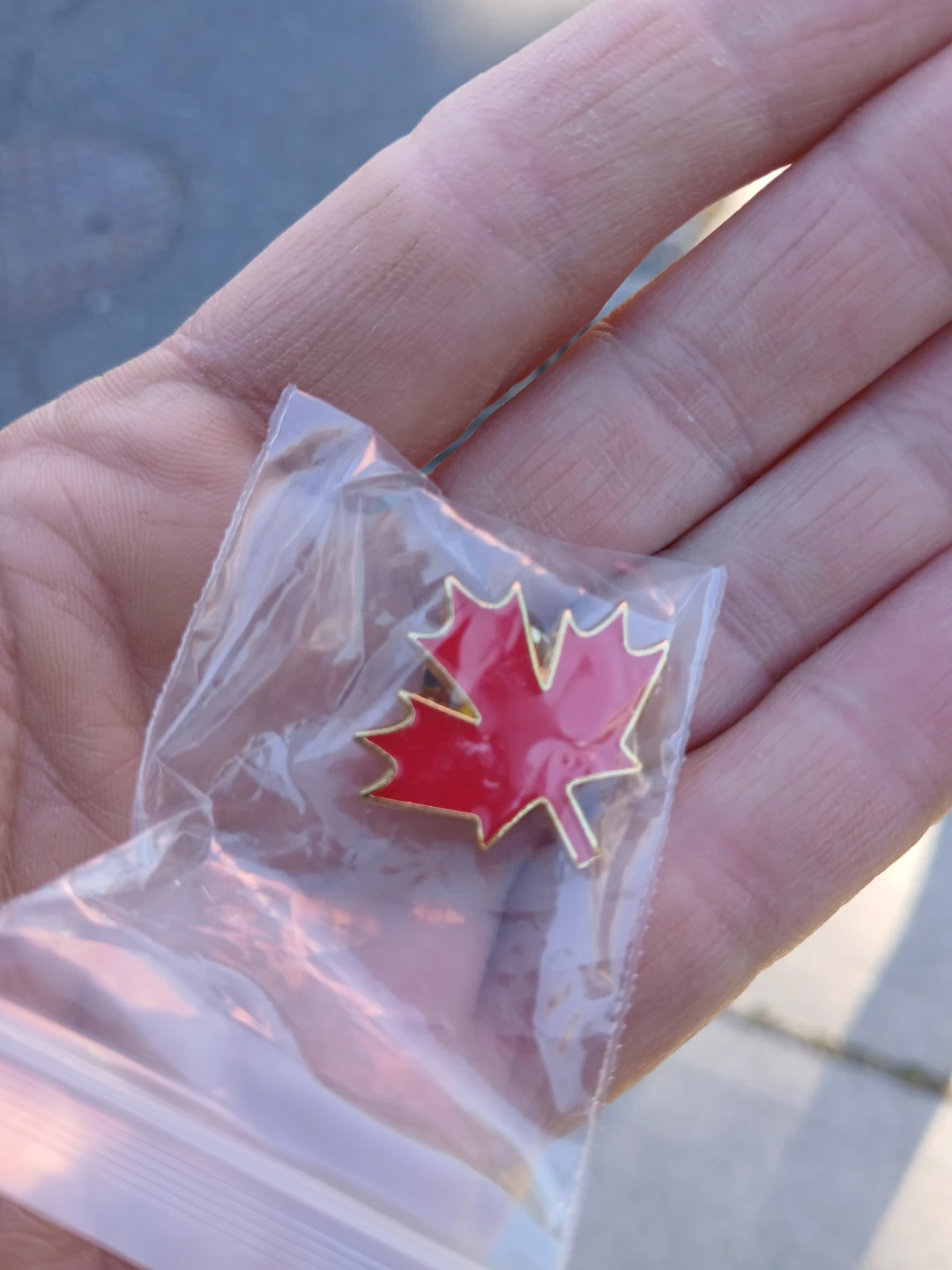 Red Maple Leaf Pin