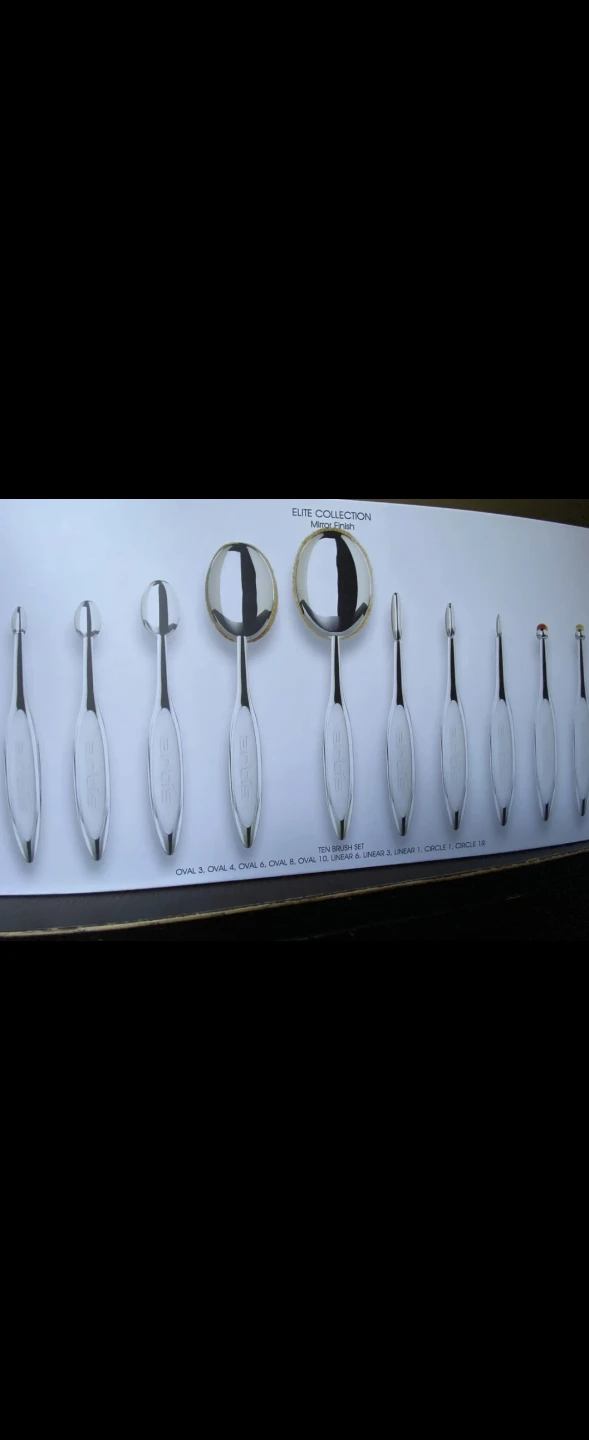 Elite Collection Mirror Finish Ten Brush Set