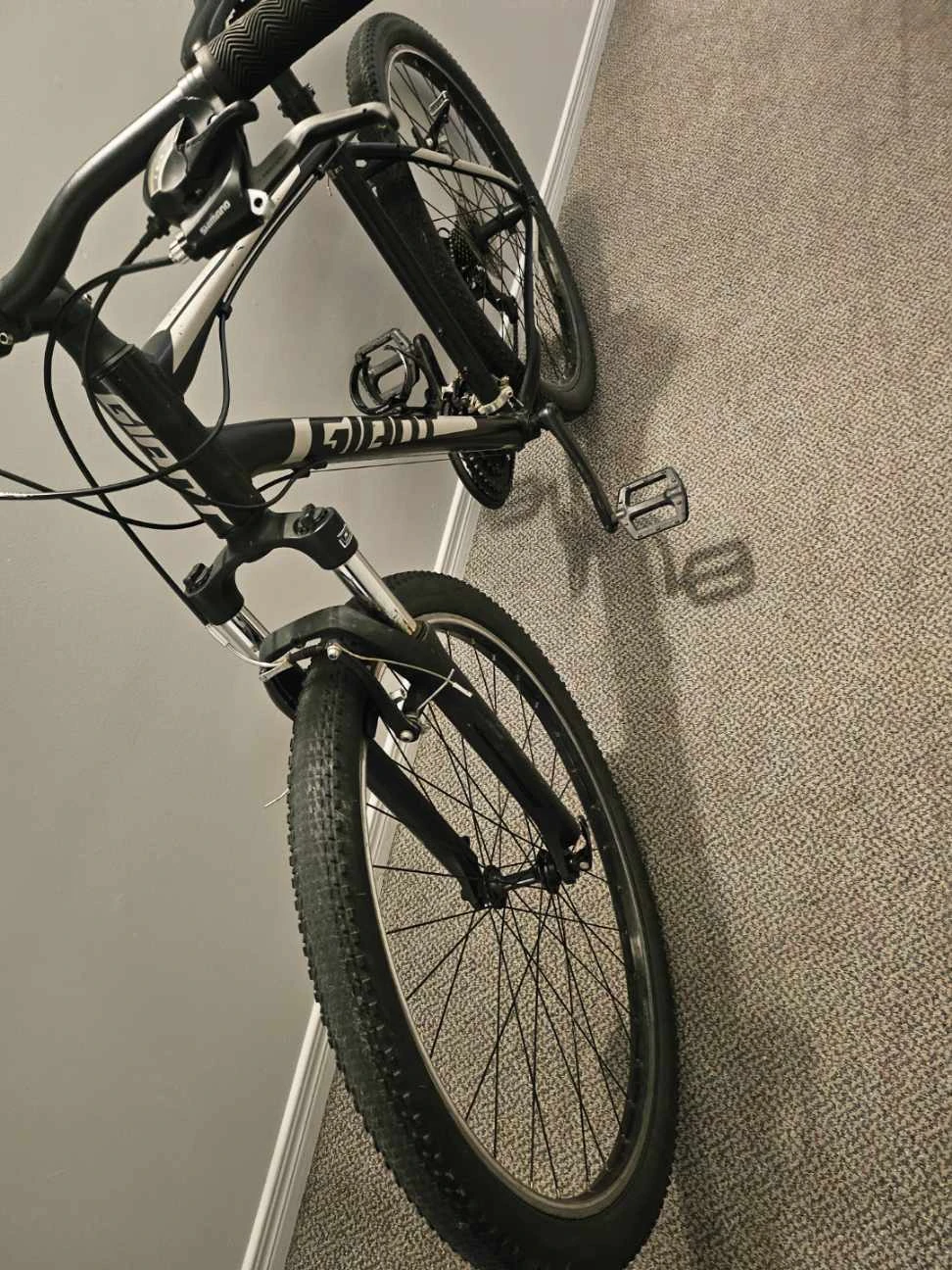 Giant Mountain Bike