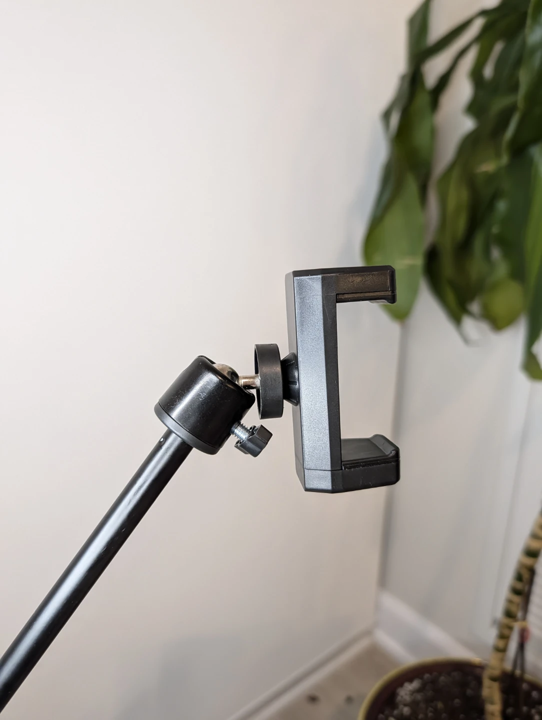 Ring Light with Tripod Stand and Phone Holder - photo 4