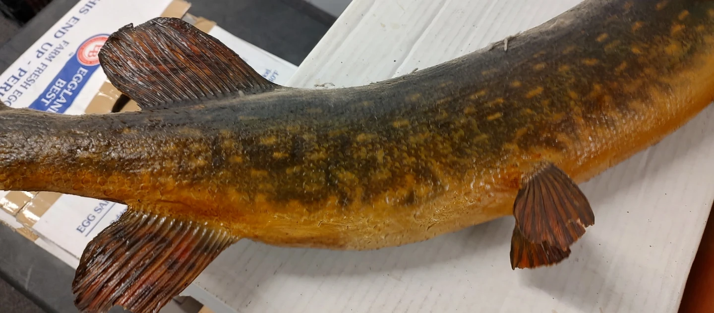 27" Fish Mount Decor - photo 3