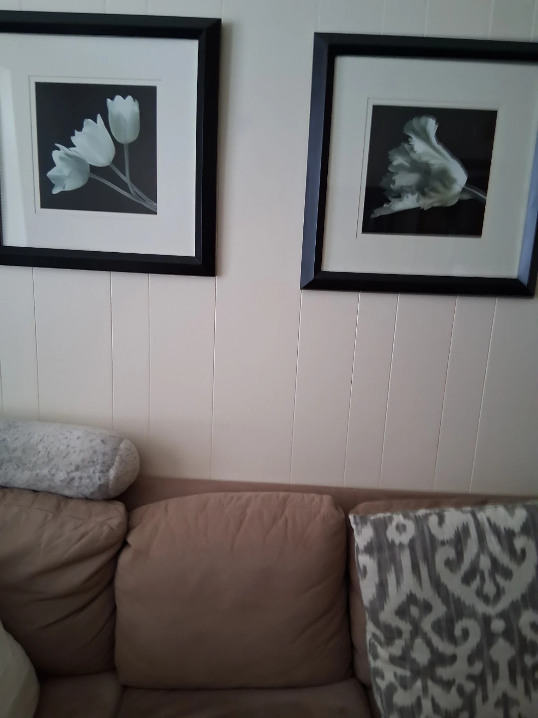 Set of 2 Framed Tulip Botanical Prints