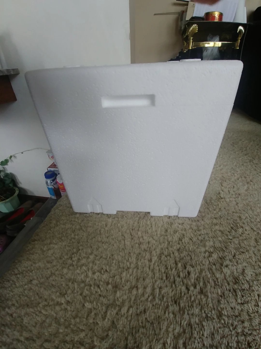 ⚽ Cryopak Insulated Cooler Box - photo 2
