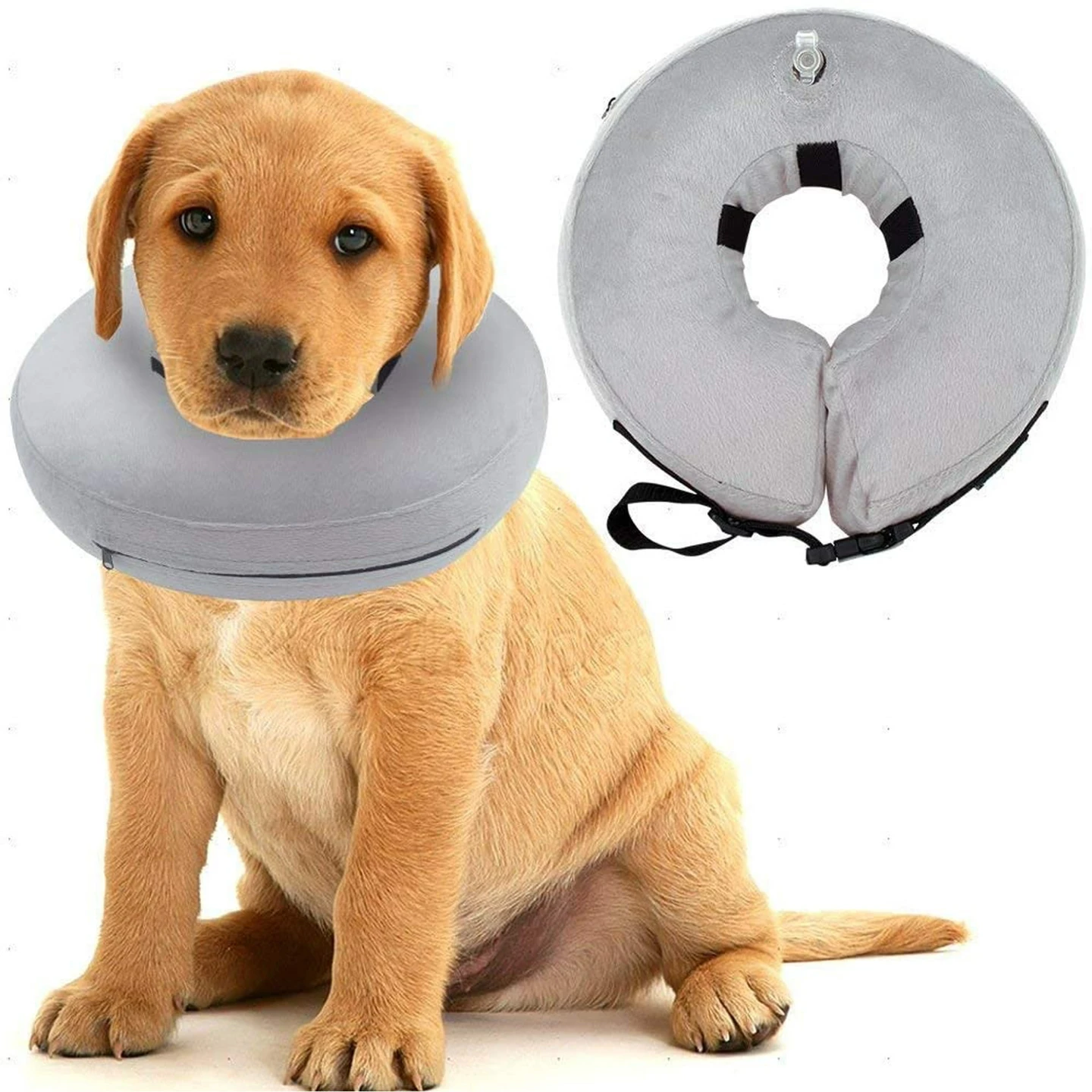 Inflatable Dog Collar size XL