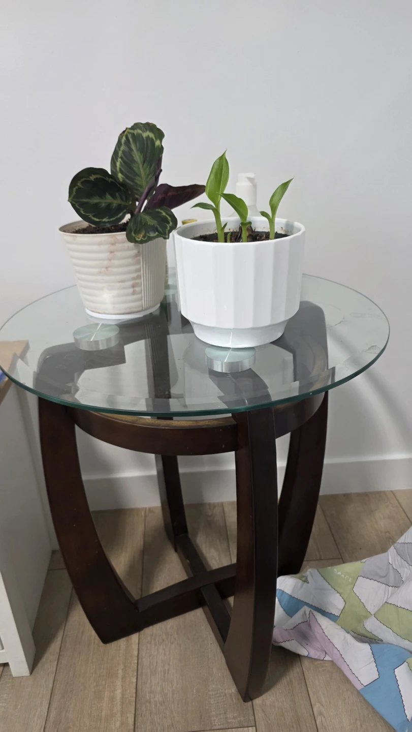 Glass Top Coffee Table with Side Table - photo 2