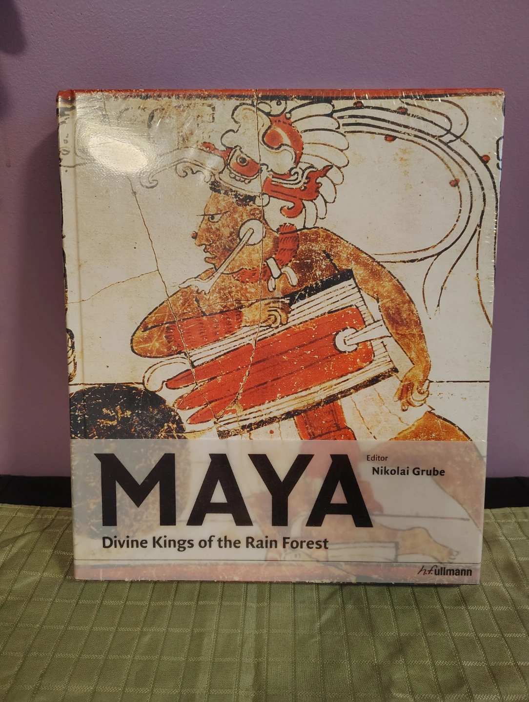 Maya: Divine Kings of the Rainforest Book