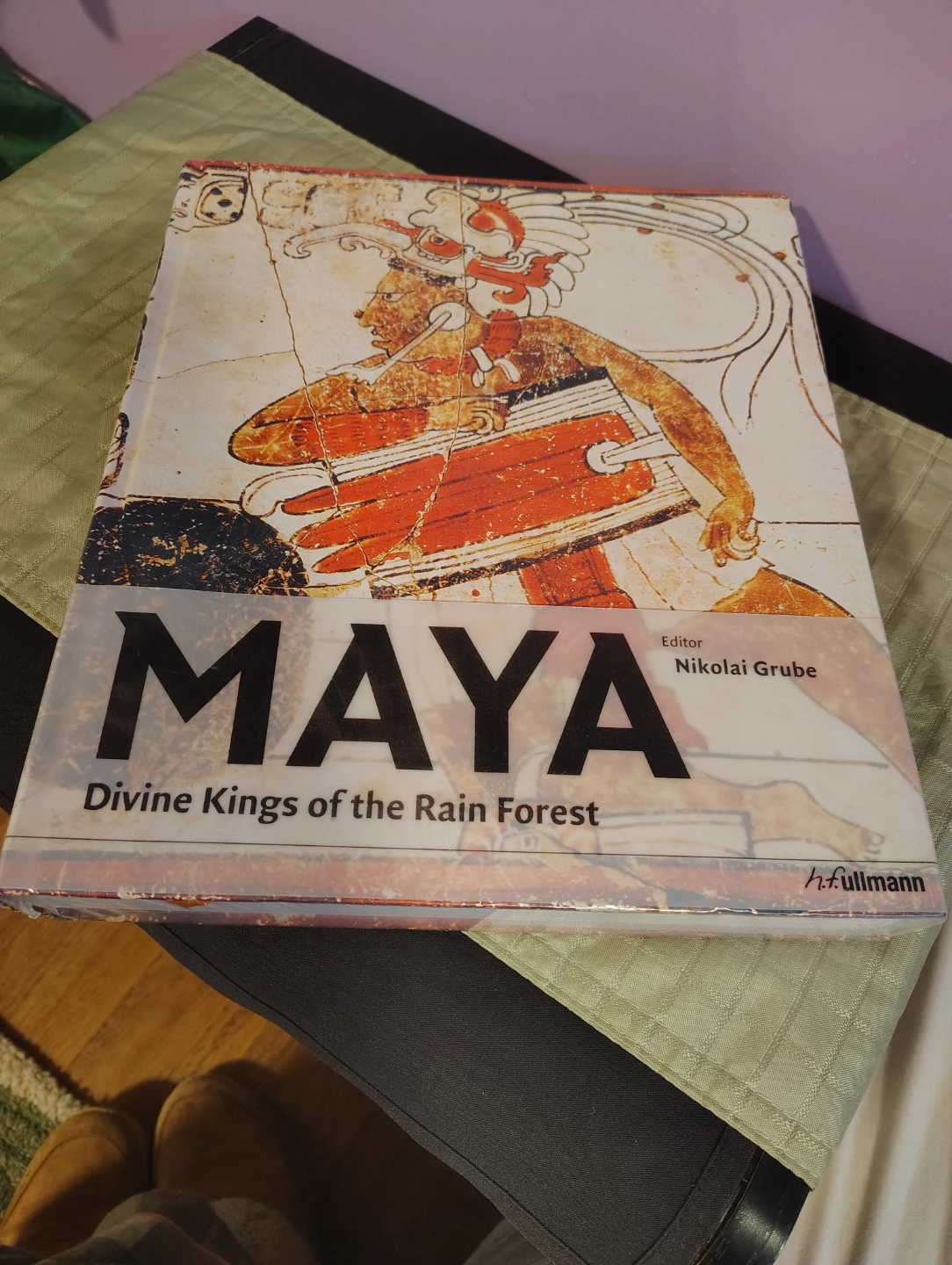 Maya: Divine Kings of the Rainforest Book - photo 2