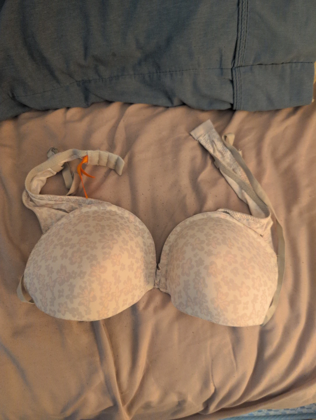 Joe Fresh Floral Bra 36C