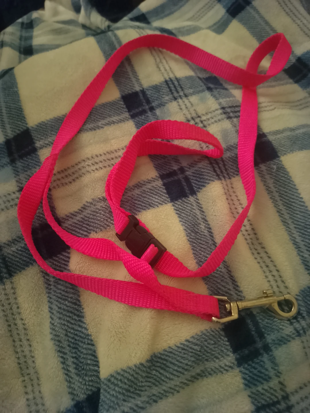 Bright Pink Dog Leash with Buckle
