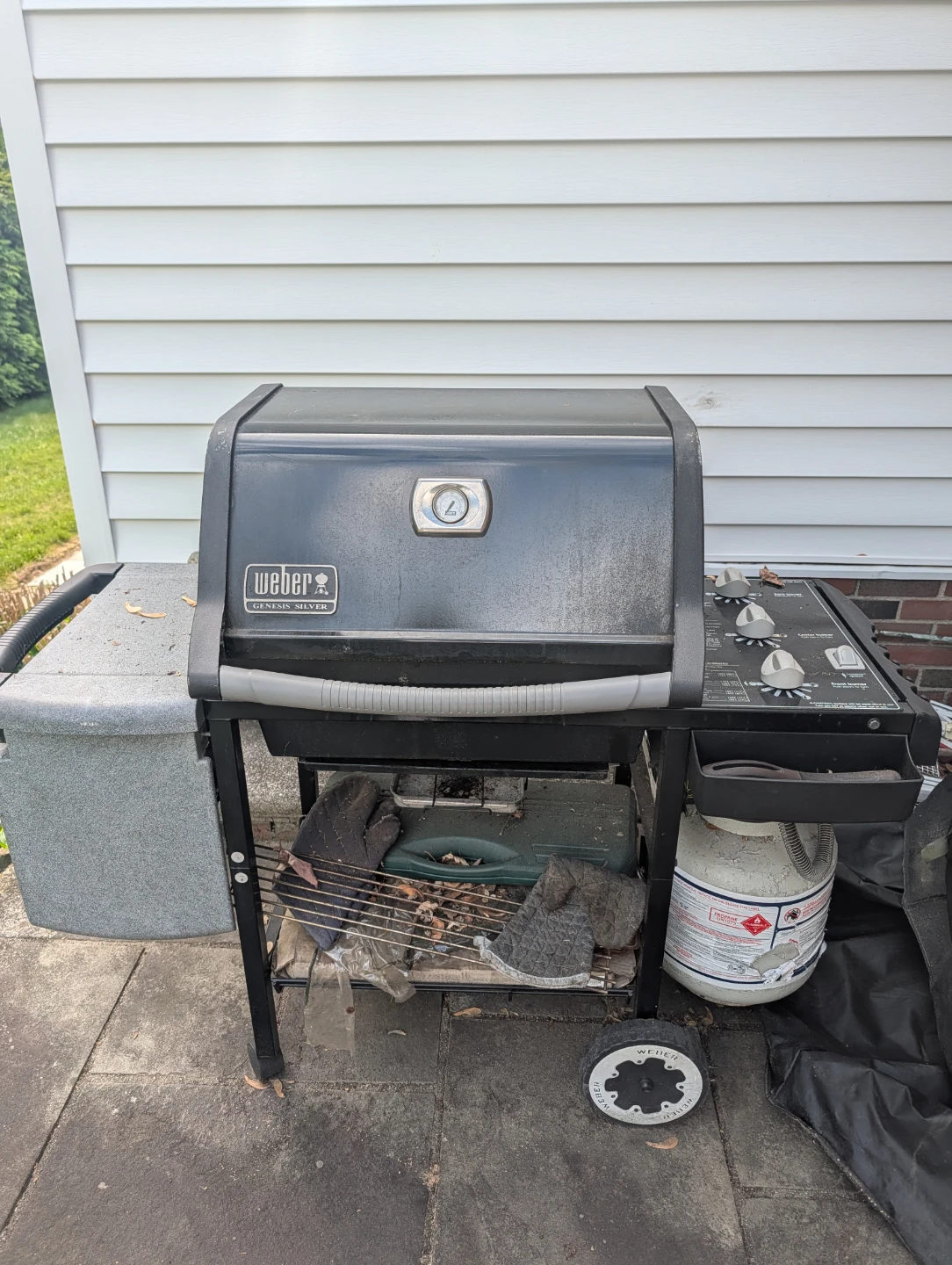 Weber Gas Grill