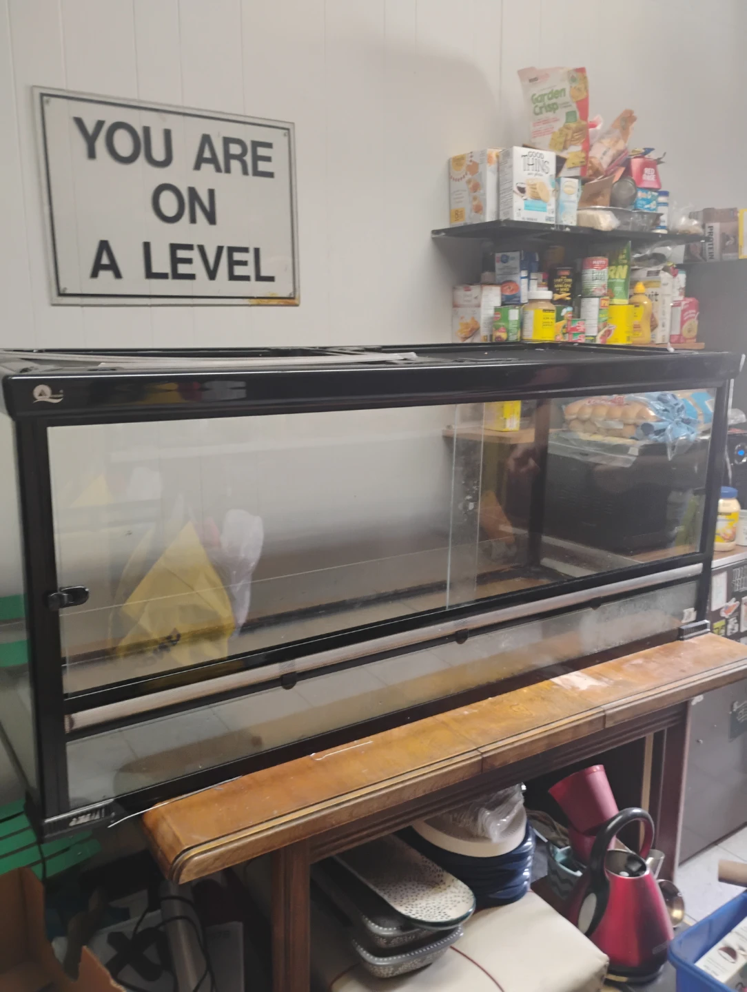 Large Glass Terrarium for reptiles - photo 2