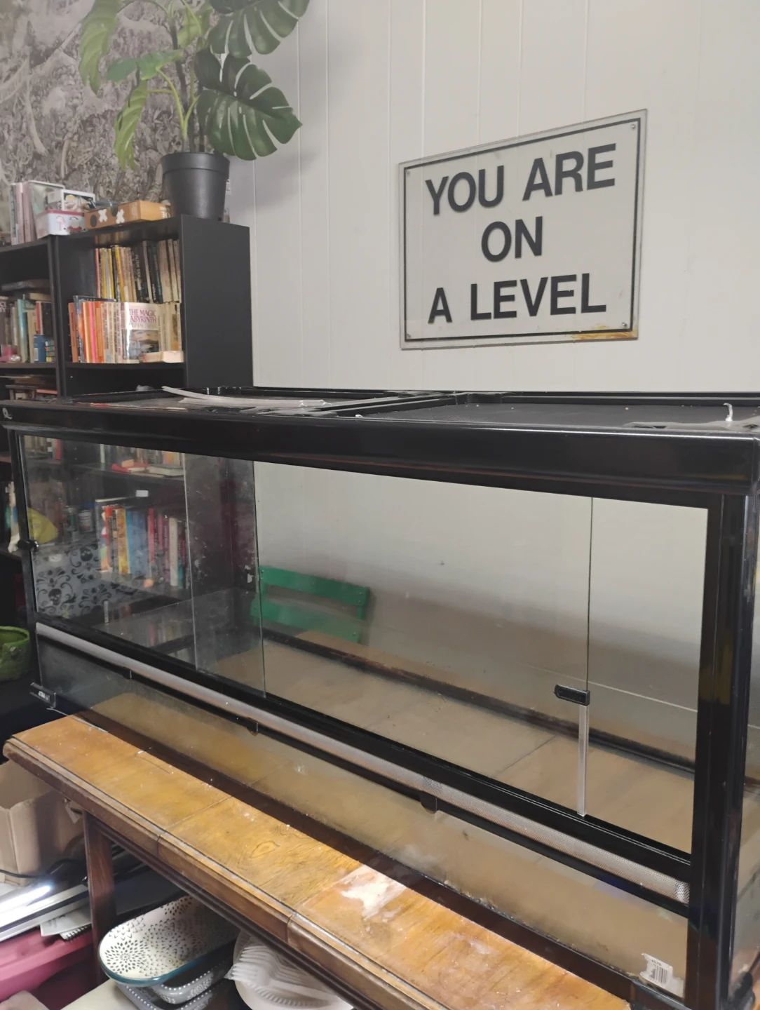 Large Glass Terrarium for reptiles - photo 3