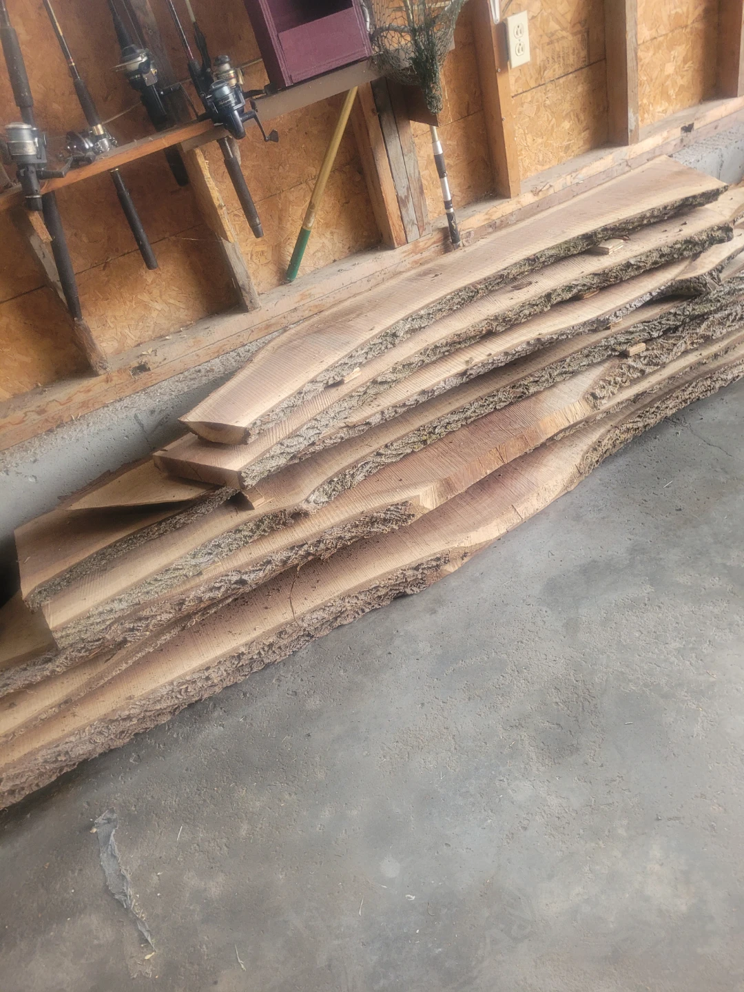 Live Edge Wood Slabs