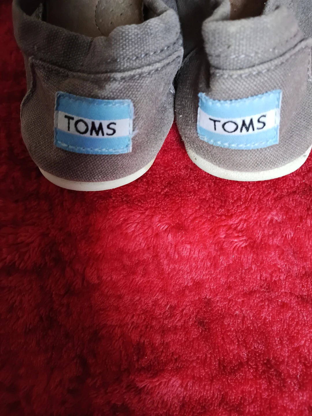 TOMS Grey Canvas Slip-On Shoes