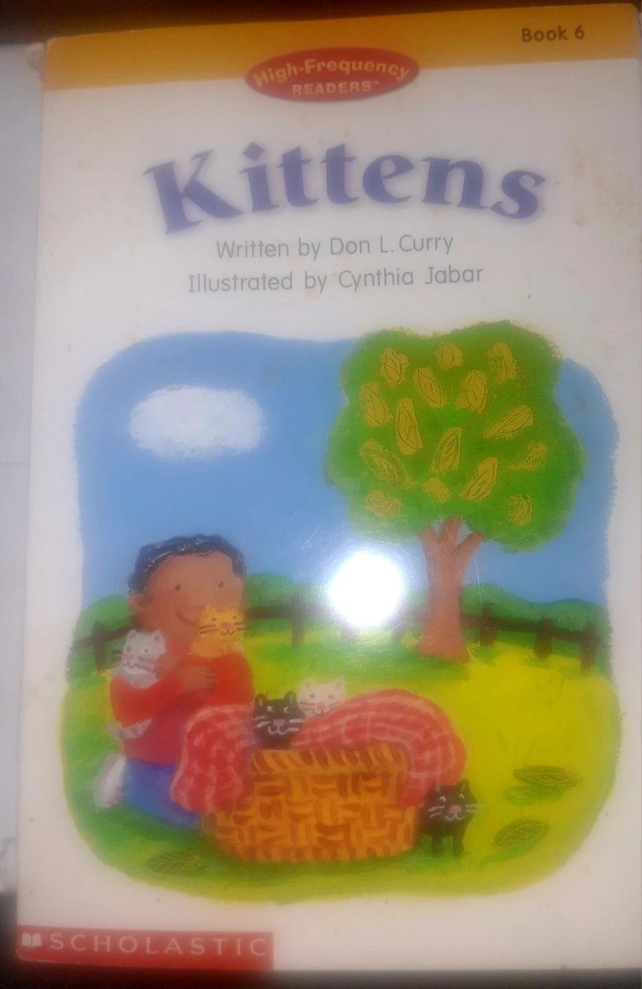 Kittens Book 6 High-Frequency Readers