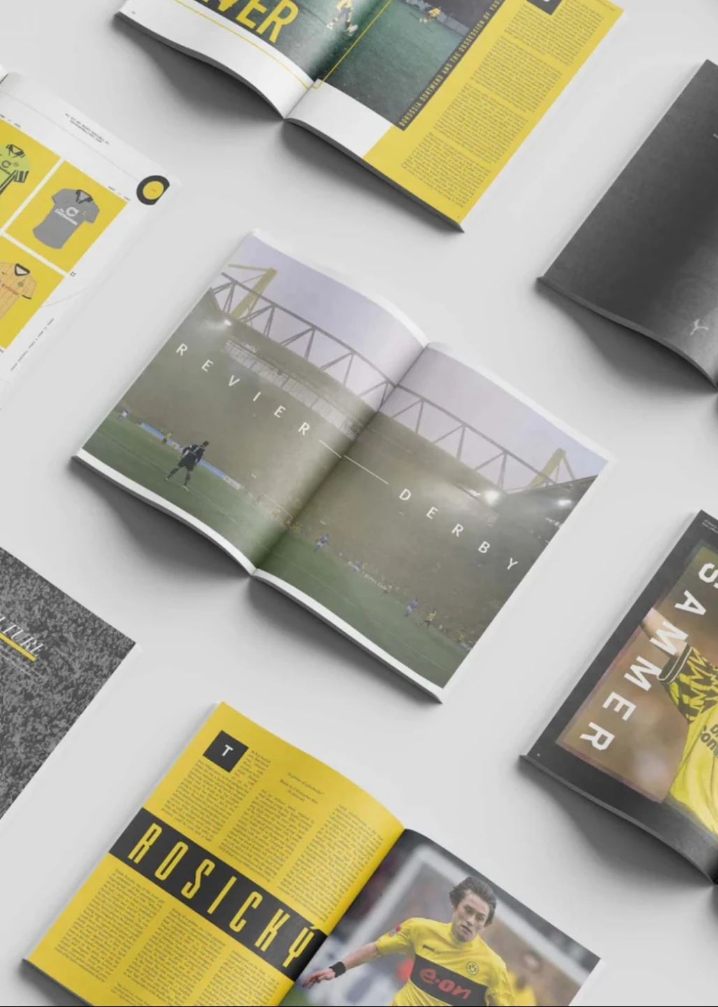 Borussia Dortmund FIFA UEFA book (new) ⚽ - photo 3