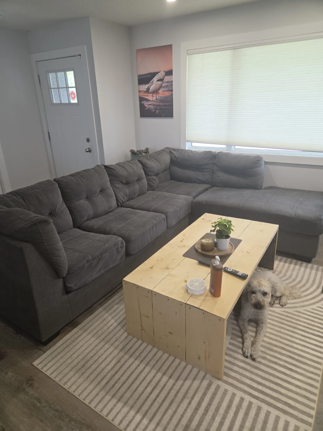 Dark Grey Sectional Sofa with Chaise