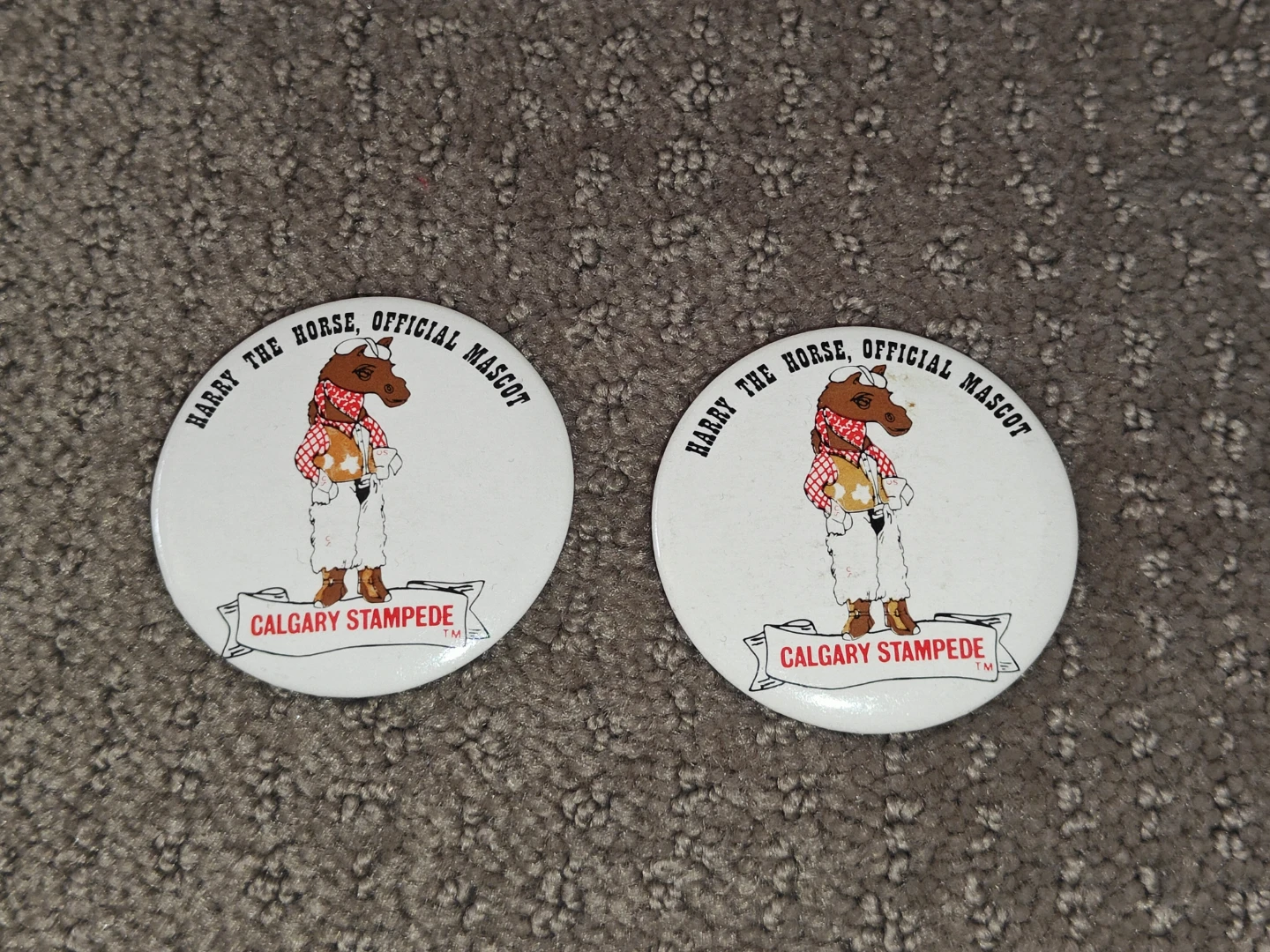 Harry The Horse Calgary Stampede Mascot - Button Pinback Pin