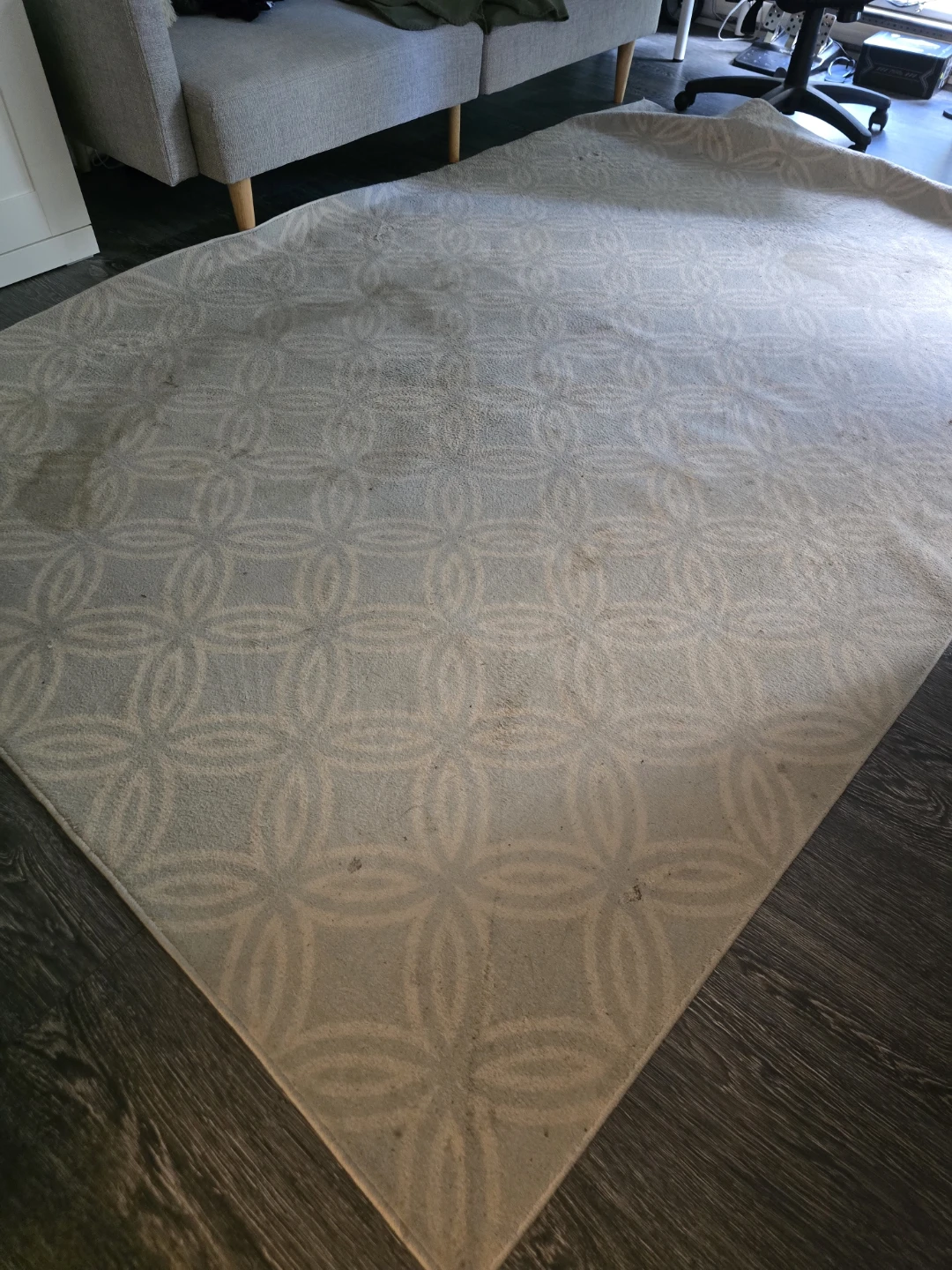 Free 9' x 6' low-pile area rug