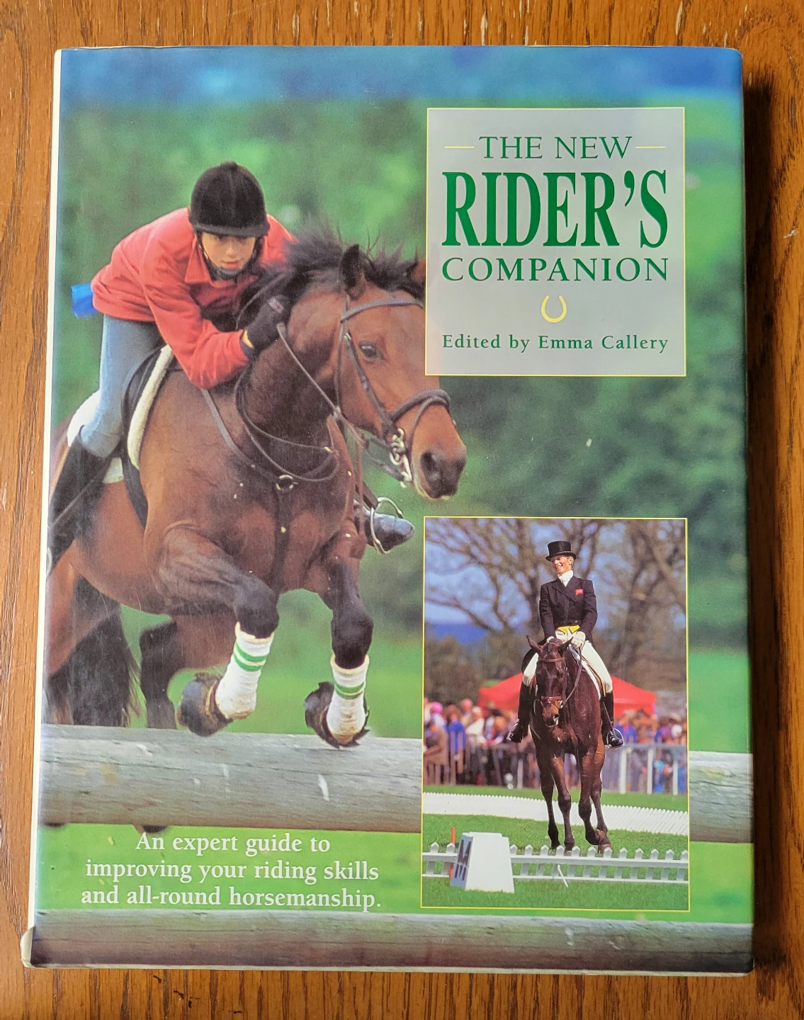 The New Rider's Companion Horse Riding Book ⚽