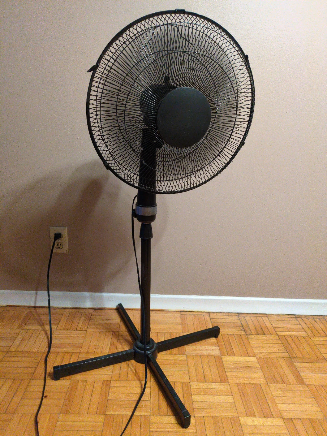 Black Oscillating Stand Fan
