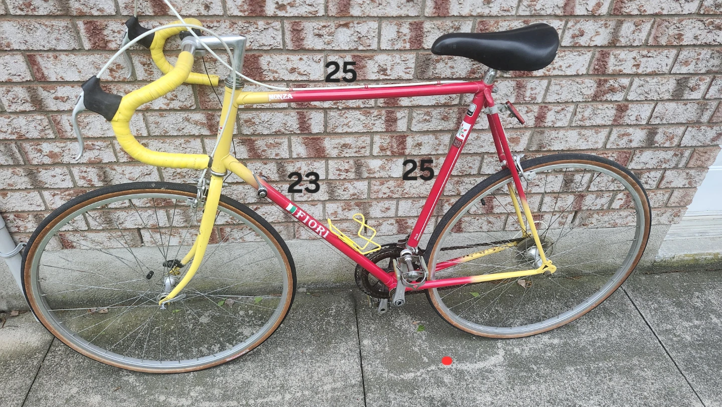 Road Bicycle - FIORI