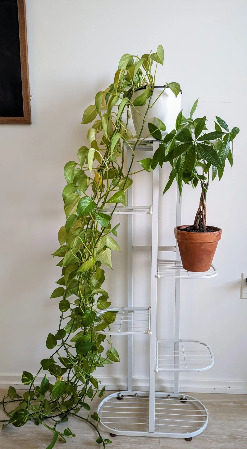 White Metal Plant Stand with 5 Shelves