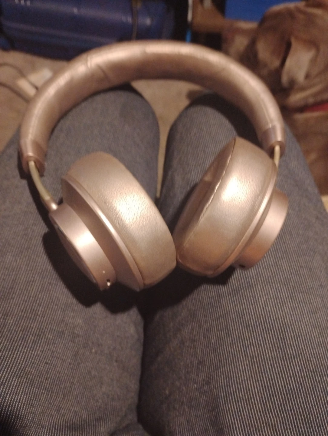 Rose Gold Wireless Headphones