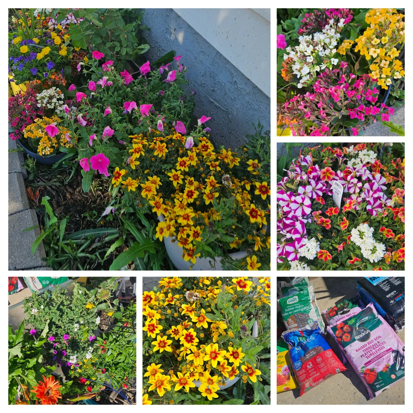 Miracle-Gro Potting Mix and Raised Bed Soil