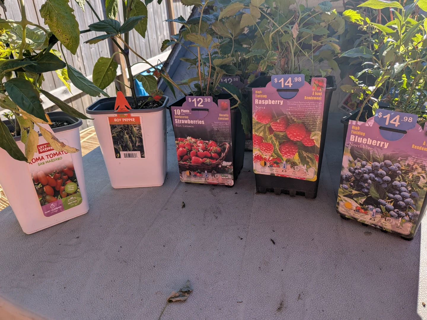 Miracle-Gro Potting Mix and Raised Bed Soil - photo 4