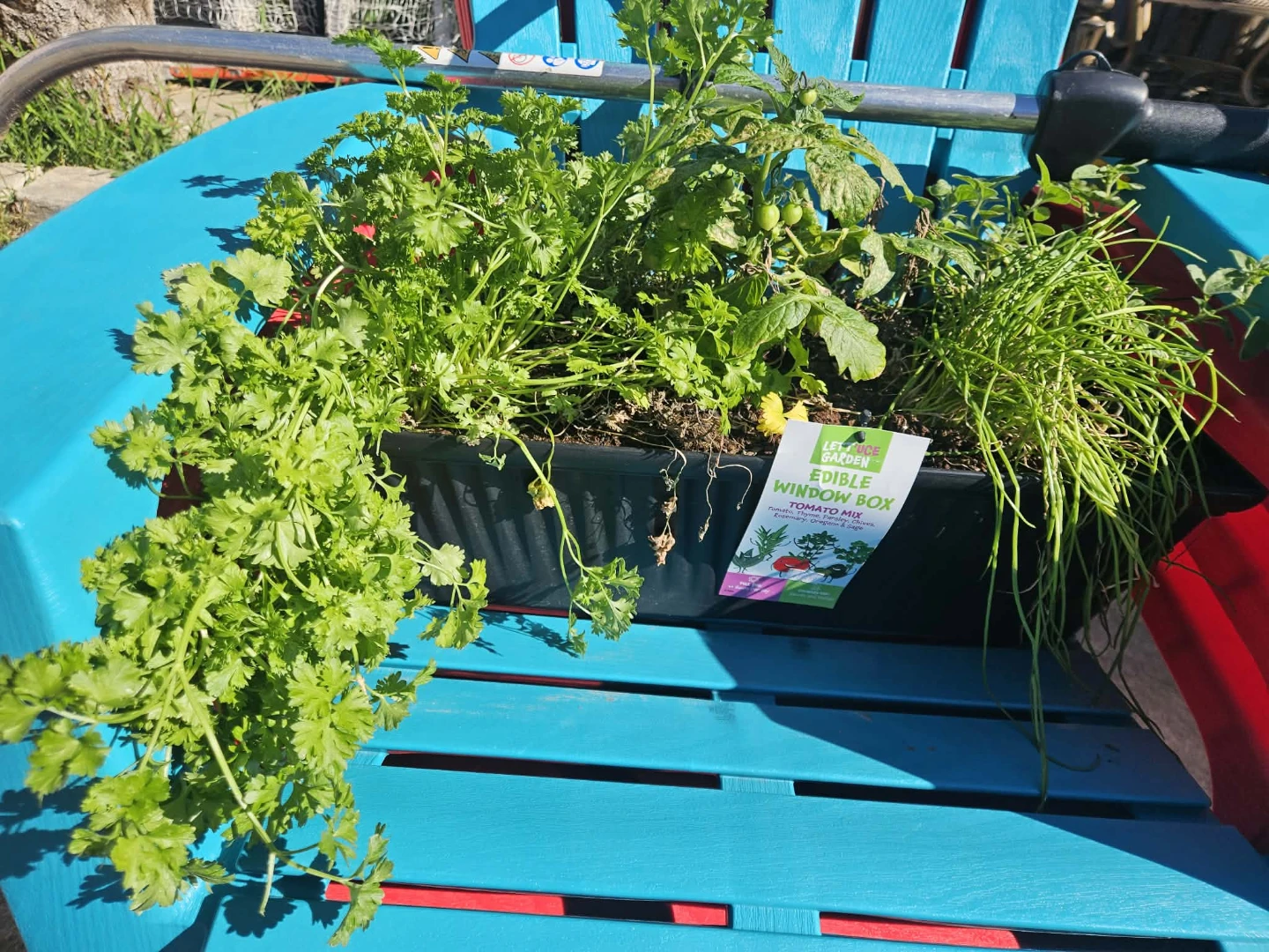 Miracle-Gro Potting Mix and Raised Bed Soil - photo 5