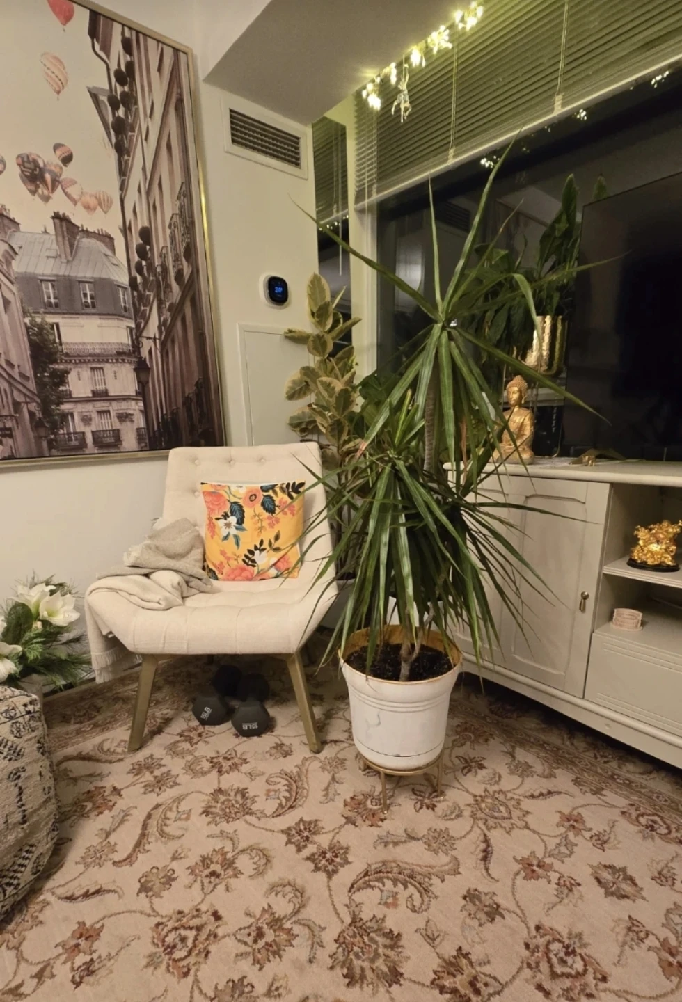 Dracaena Marginata Plant in White Pot with Stand - photo 3