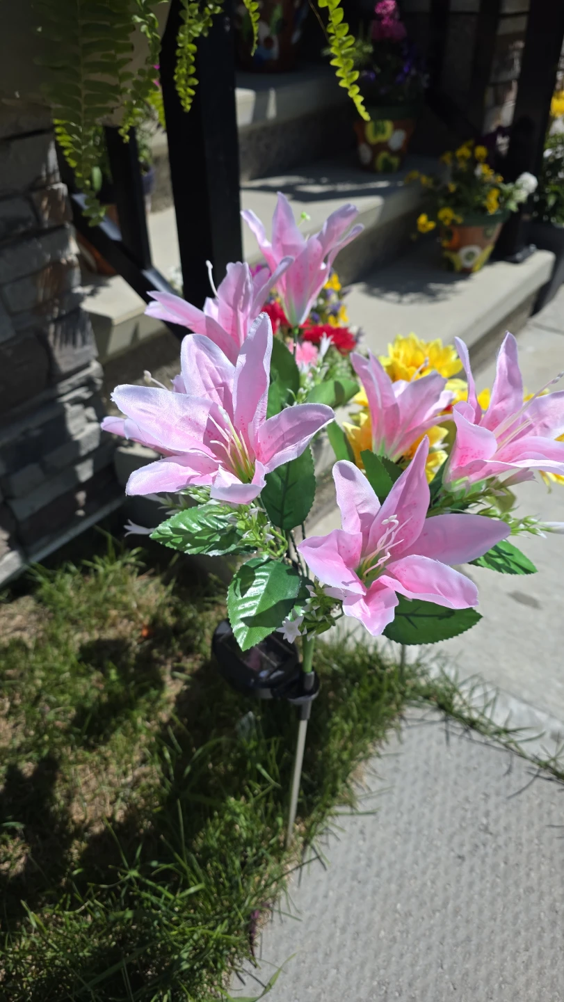 Solar Powered Pink Lily Garden Lights for sale - photo 2